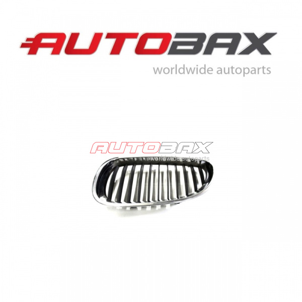 Radiator Grille BMW 5-series (E60/E61) 2003>2009