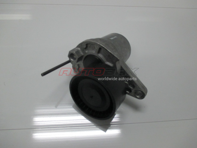 Drive Belt Tensioner Pulley X-Trail (T32) 2014>