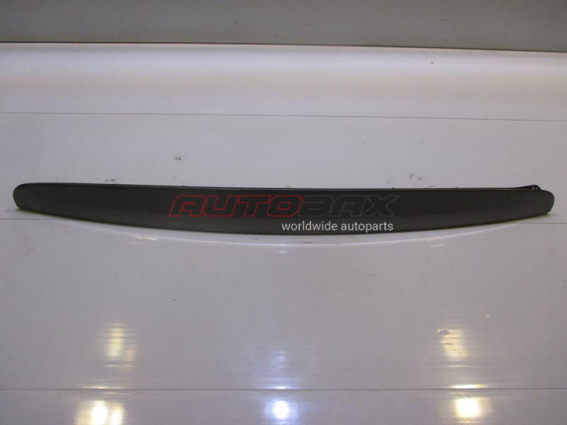Door/Tailgate Molding/Trim Santa Fe (CM) 2005>2012