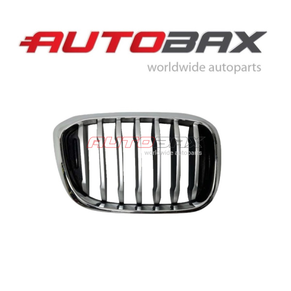 Radiator Grille BMW X3 (G01/F97) 2017>