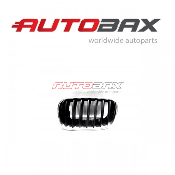 Radiator Grille BMW X5 (E70) 2007>2013