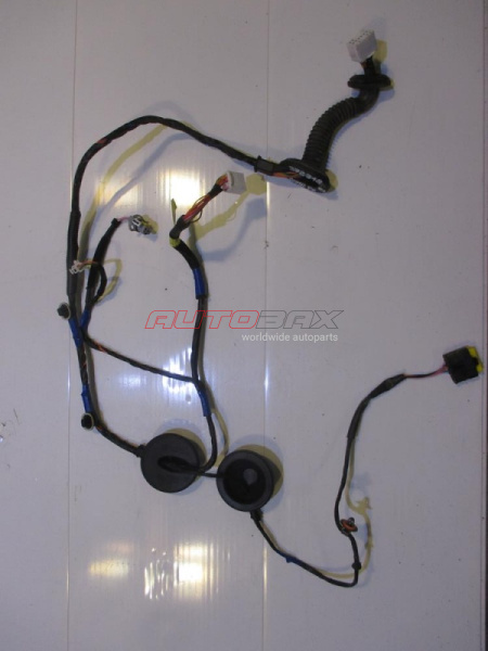 Rear Right Door Wiring Harness Santa Fe (CM) 2005>2012