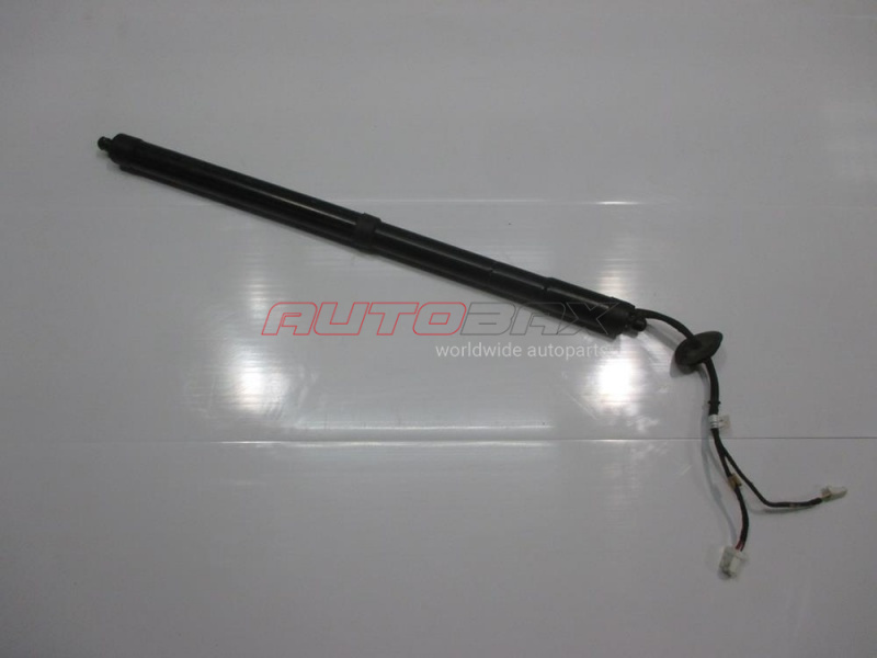Door/Tailgate Strut QX-70/FX (S51) 2008>