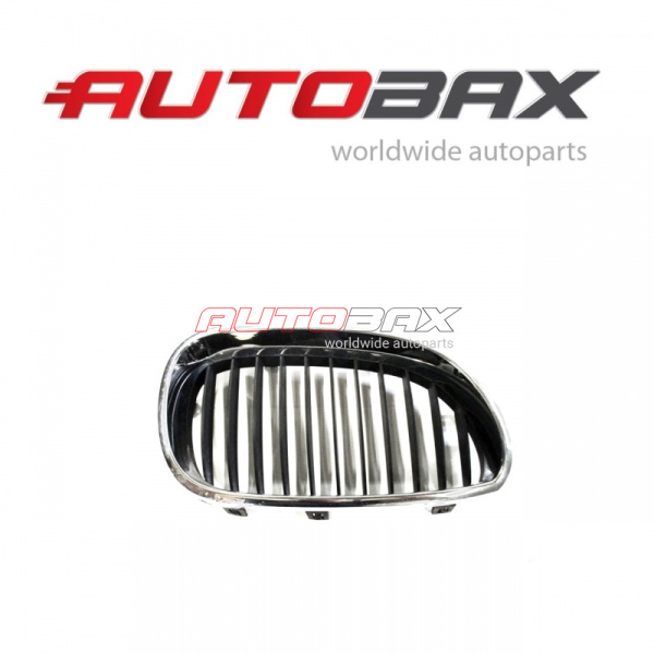 Radiator Grille BMW 5-series (E60/E61) 2003>2009