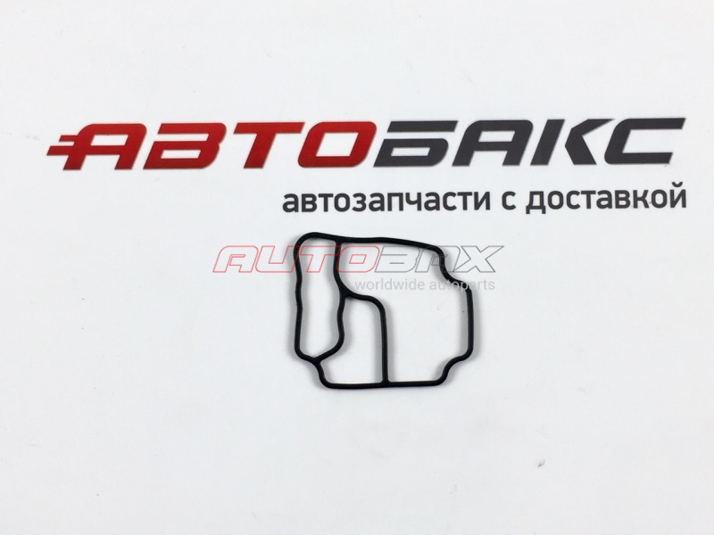 Oil Filter Gasket Z4 (E85) 2002>2008