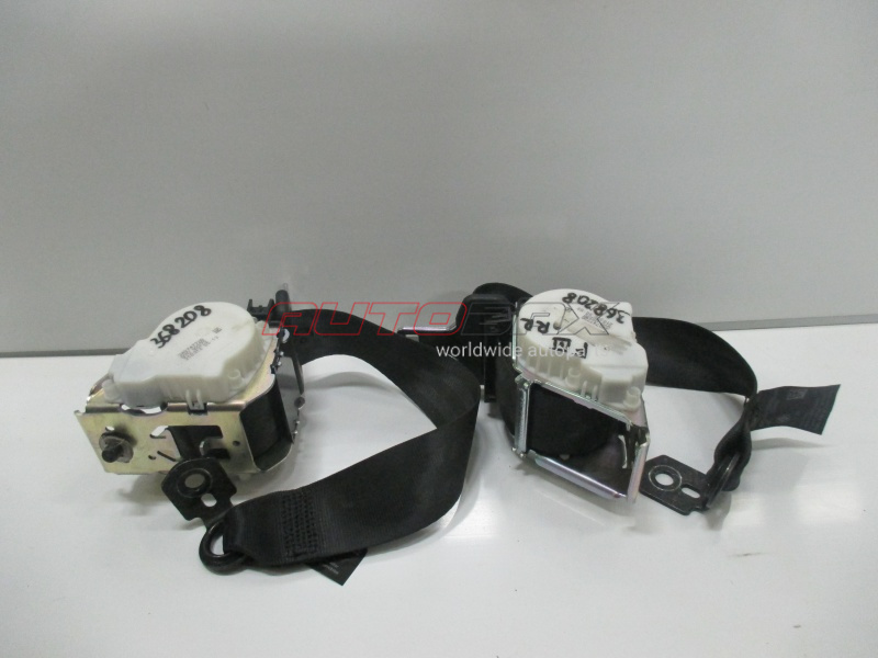 Seat Belt Focus III 2011>