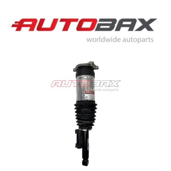 Shock Absorber Rear Tesla Model S 2012>