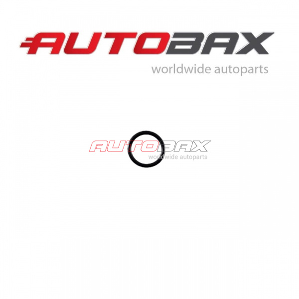 O-Ring Infiniti QX-70/FX (S51) 2008>