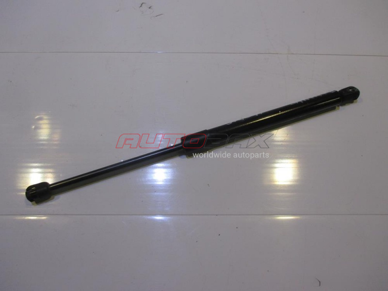 Door/Tailgate Strut Santa Fe (CM) 2005>2012