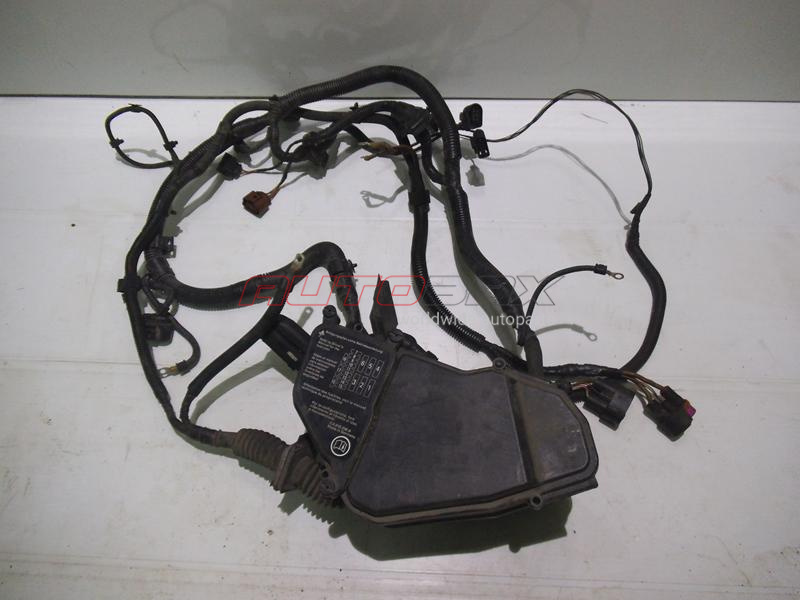 Wiring (braid) Engine/Underhood Cayenne 2003>2010