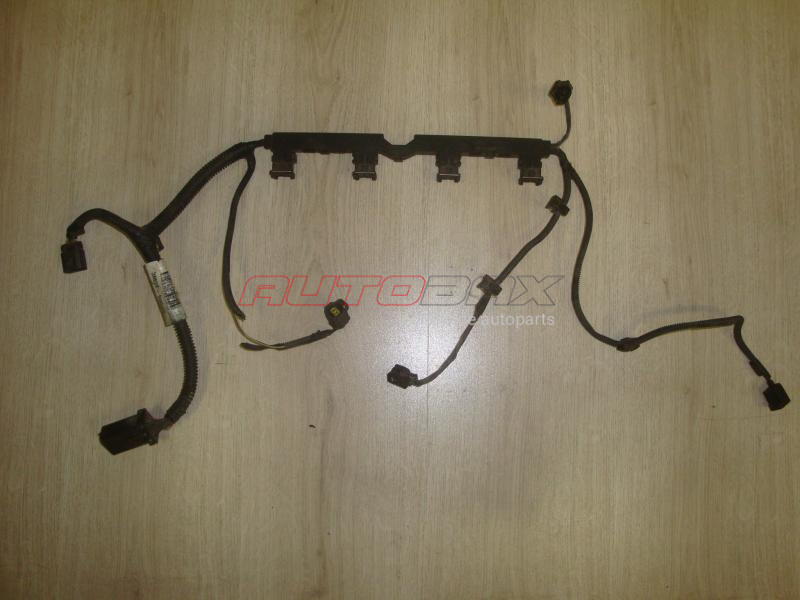 Fuel Rail Braid Focus II 2005>2011