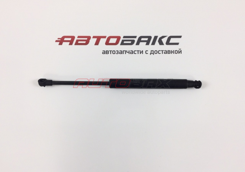 Door/Tailgate Strut Hyundai Genesis 2009>