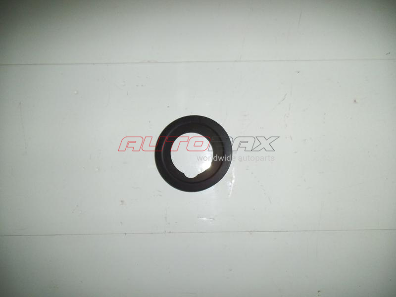 Fog Light Grille/Bezel X3 (E83) 2004>2010
