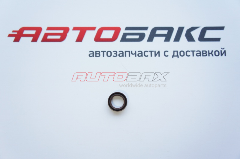 Primary Shaft Seal Focus III 2011>