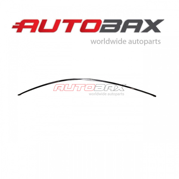 Left Roof Molding Audi A7 (4G8) 2010>2018