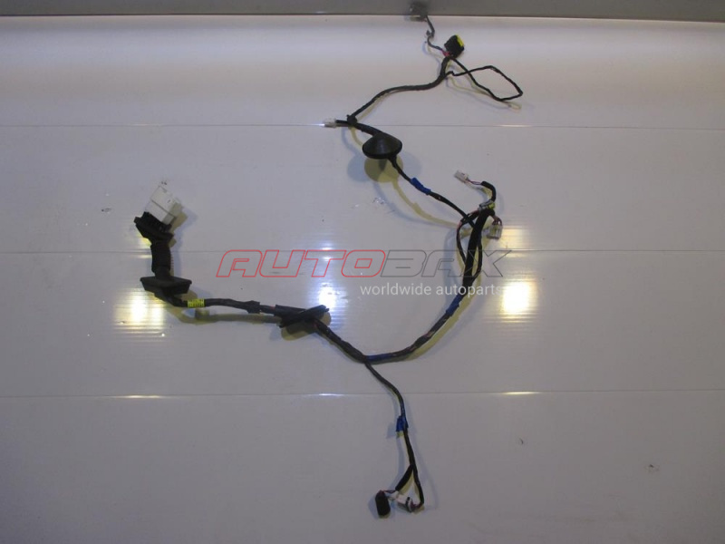 Front Right Door Wiring Harness Santa Fe (CM) 2005>2012