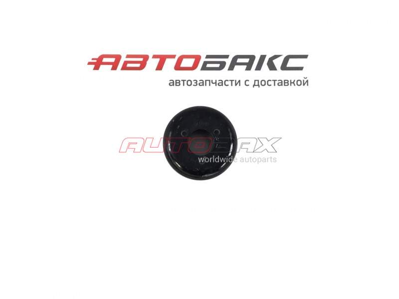 Pump Pulley Audi ALLROAD 2000>2005