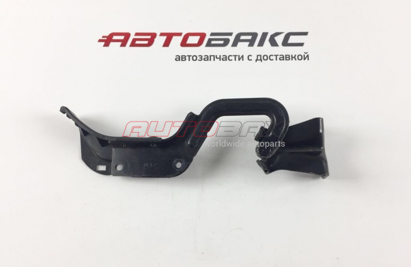 Door/Tailgate Hinge Mitsubishi Outlander XL (CW) 2006>2012