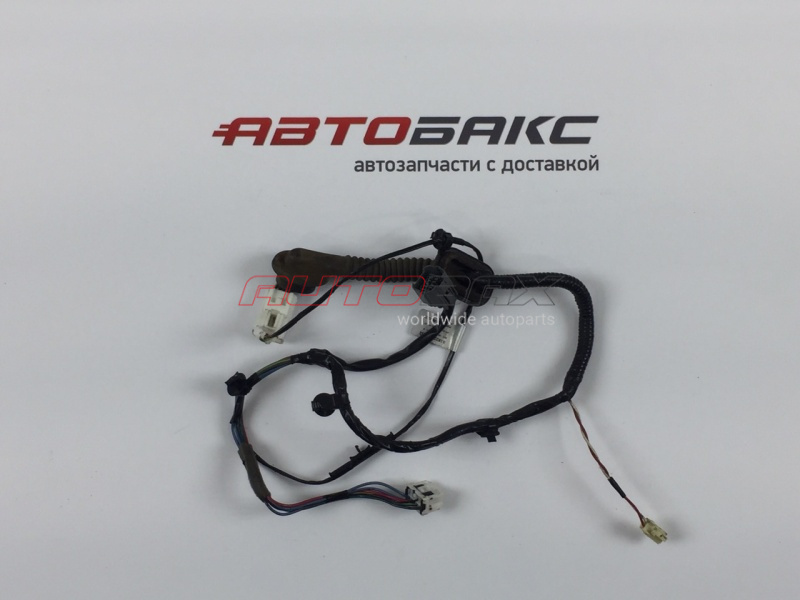 Wiring (braid) Door Rear Right Subaru Legacy (B14) 2010>
