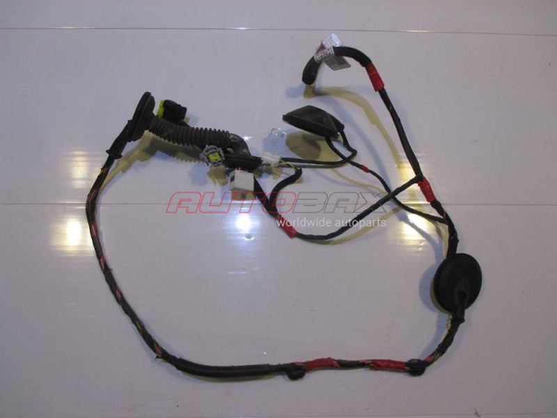 Rear Left Door Wiring Harness Santa Fe (CM) 2005>2012