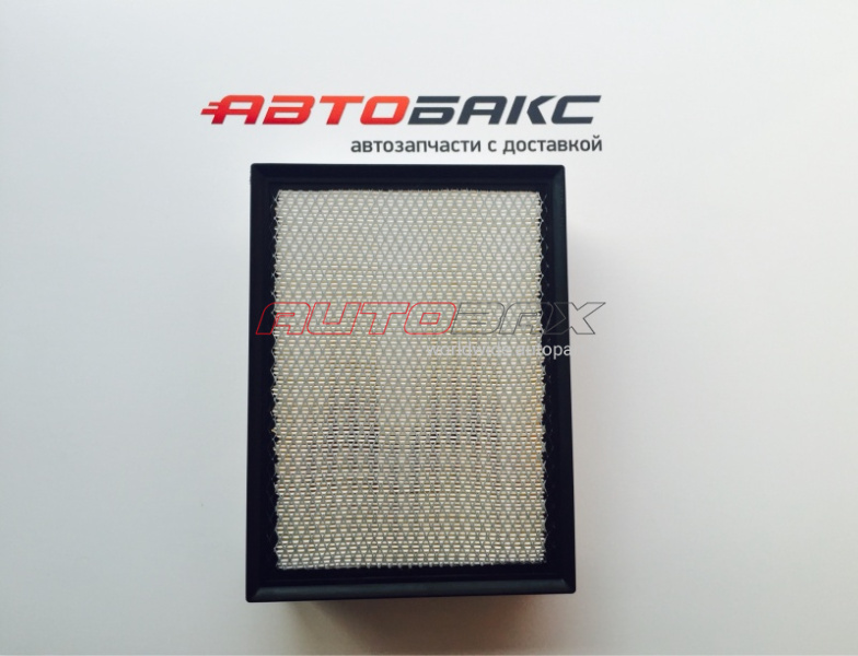Engine Air Filter Land Cruiser (150) Prado 2009>