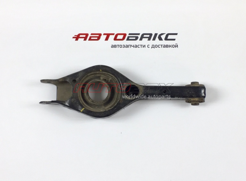 Arm Rear Lower Sonata VI 2010>