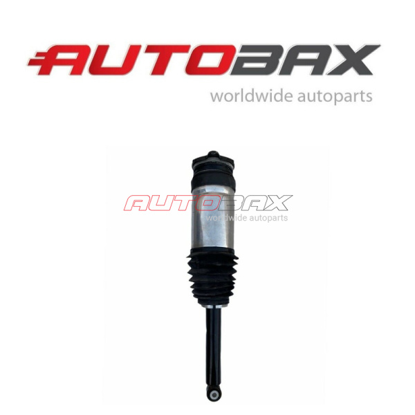 Shock Absorber Rear Tesla Model S 2012>