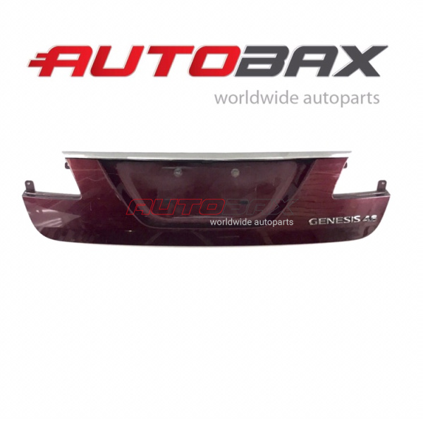 Door/Tailgate Molding/Trim Hyundai Genesis 2009>