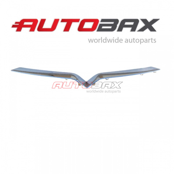 Front Bumper Molding / Cover Tesla Model X 2015>