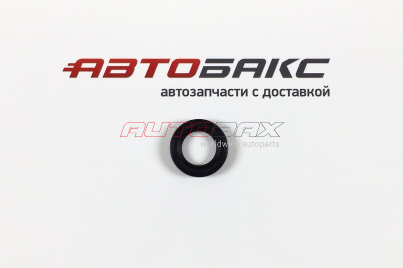 Drive Shaft Seal ASX 2010>