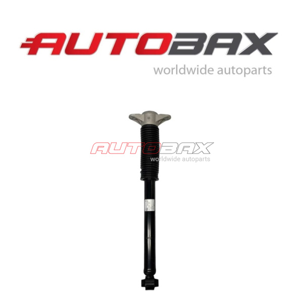 Shock Absorber Rear Tesla Model 3 2017>