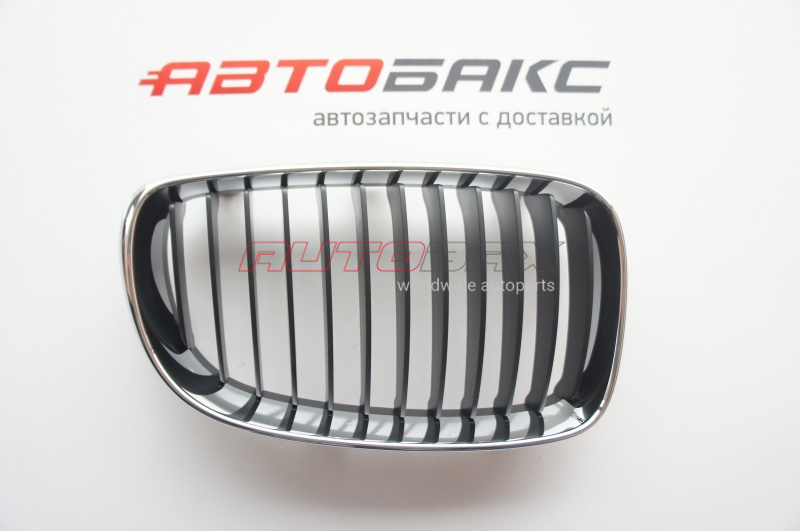 Radiator Grille 1-series (E81/E87) 2004>2011