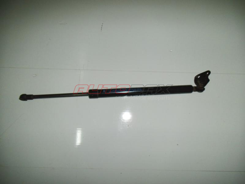 Door/Tailgate Strut CX 5 2012>
