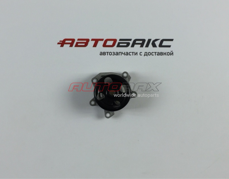 Pump (Water Pump) Nissan Qashqai (J11) 2014>