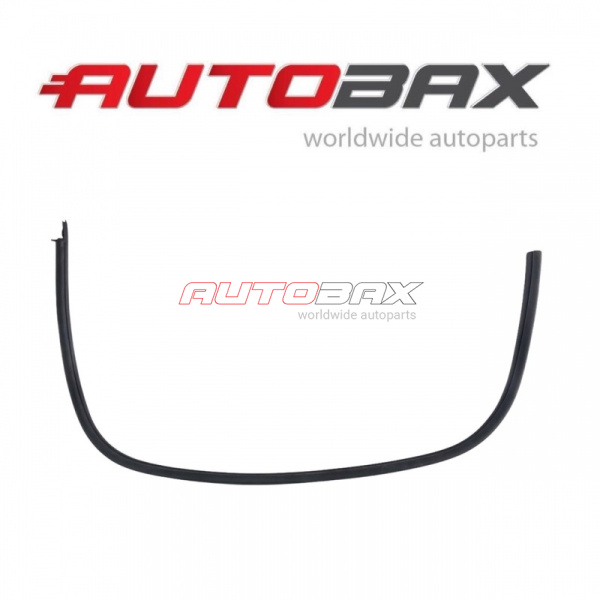 Door Opening Seal Jaguar XK/XKR 2006>