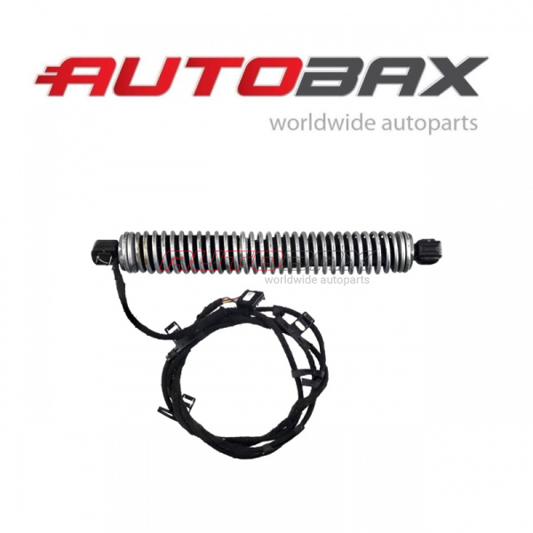 Door/Tailgate Strut BMW 5-Series (F10/F11) 2009>2016