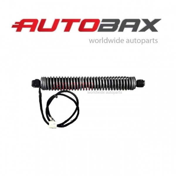 Door/Tailgate Strut BMW 5-Series (F10/F11) 2009>2016
