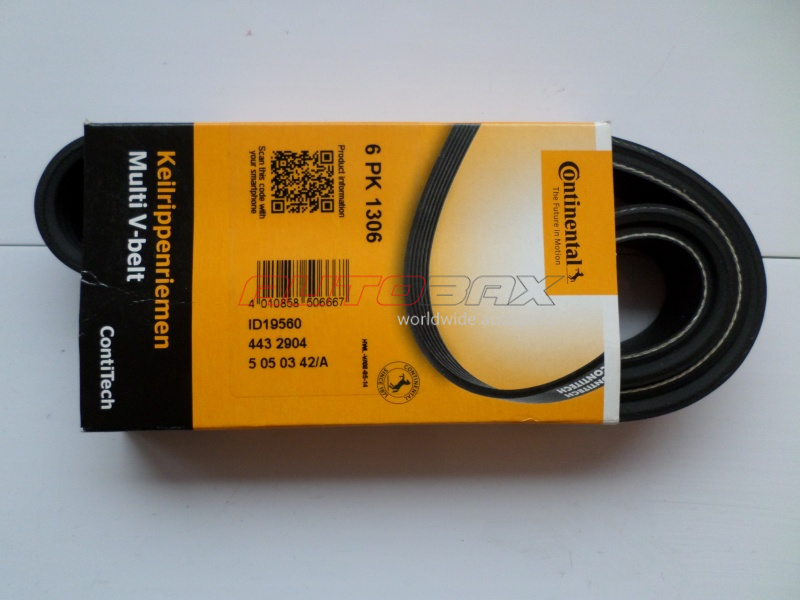 Drive Belt Mazda 3 (BK) 2002>2009