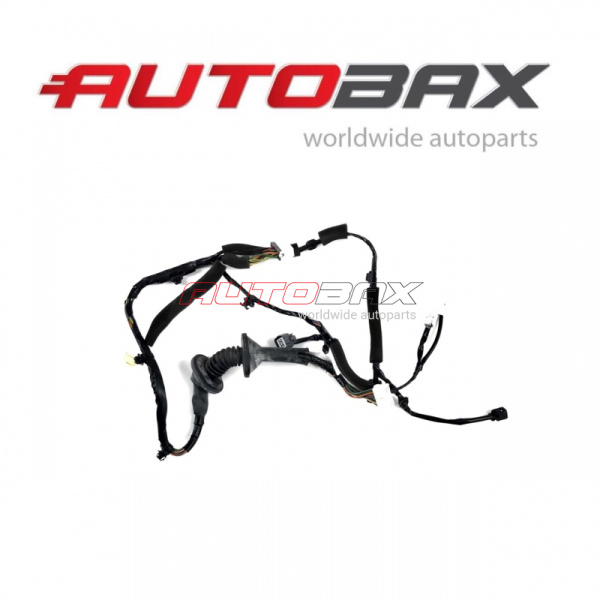 Front Left Door Wiring Harness Mitsubishi Outlander (CU) 2003>2009