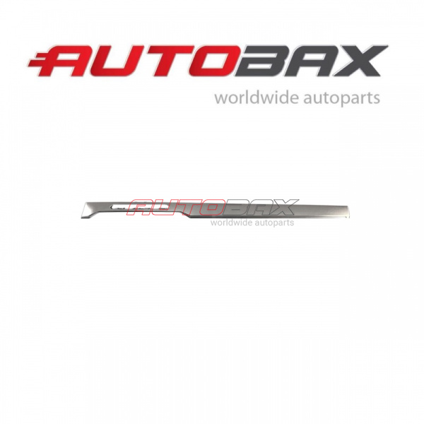 Trim Decorative VolksWagen Passat (B8) 2015>