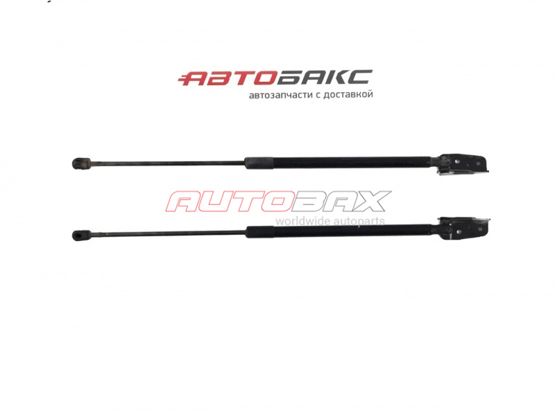 Shock Absorber Tail Gate/Trunk Lid Ford Focus III 2011>