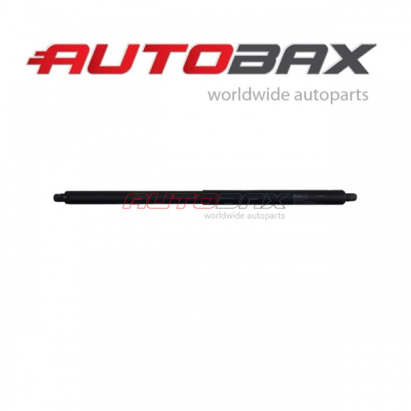 Door/Tailgate Strut Ford Explorer V 2010>