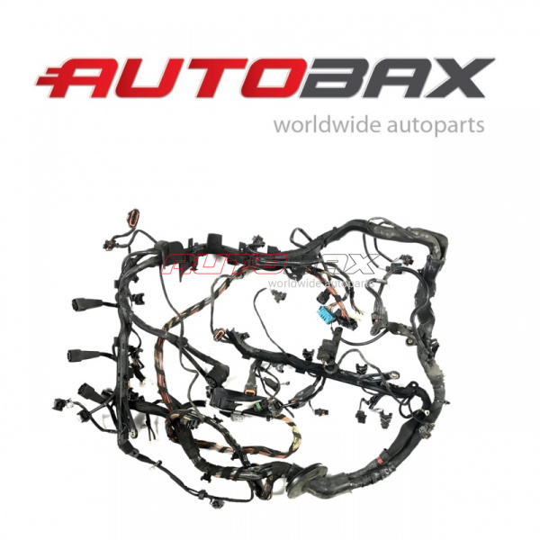 Wiring (braid) Engine/Underhood Porsche Cayman (987) 2005>2012