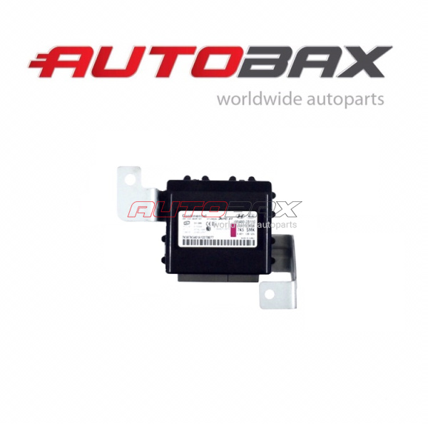 Keyless Entry Control Unit Hyundai Santa Fe (CM) 2005>2012