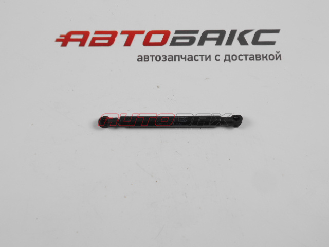 Door/Tailgate Strut S-Class (W221) 2005>2013