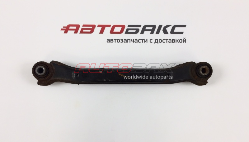 Arm Rear Upper Sonata VI 2010>