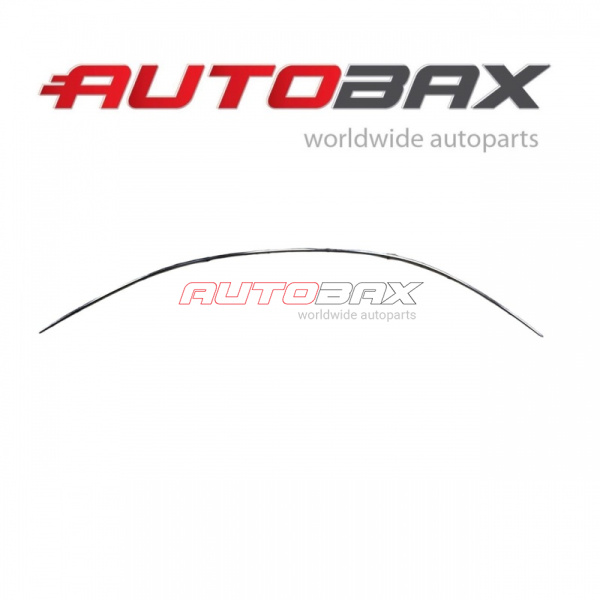 Right Roof Molding Audi A6 (C7) 2011>2018