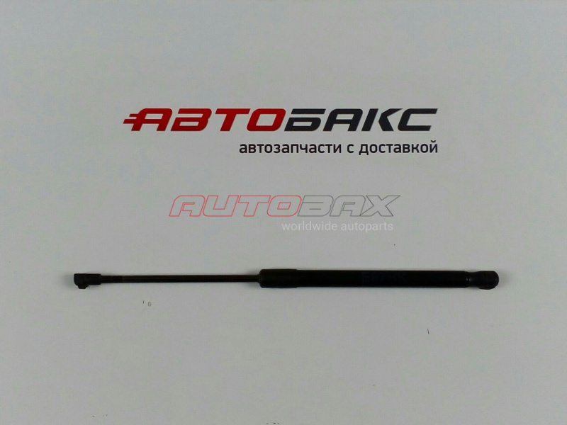 Door/Tailgate Strut 1-Series (E81/E87) 2004>2011