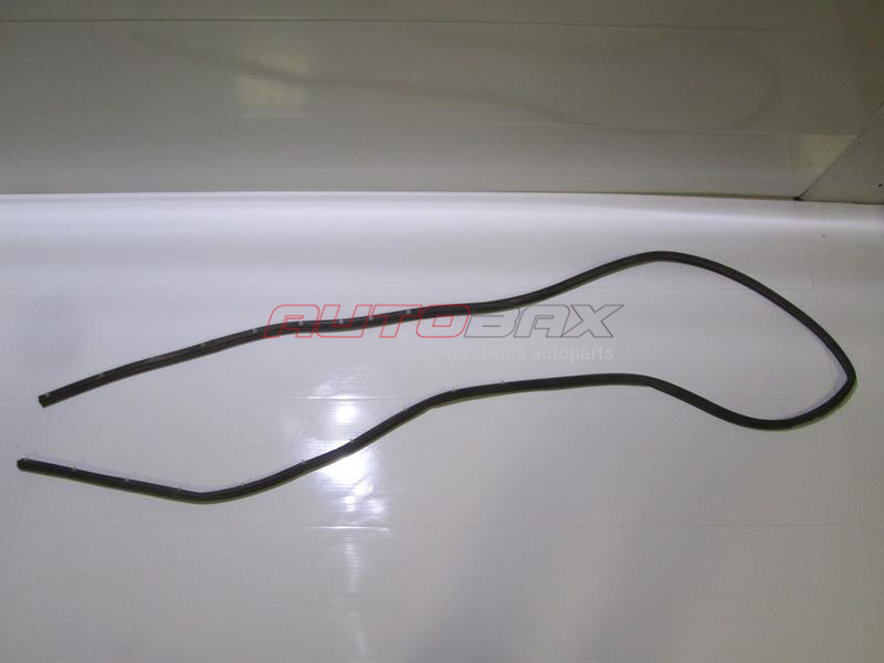 Door Opening Seal Focus II 2005>2011