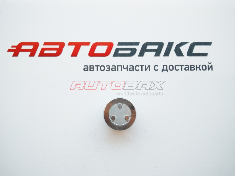 Caliper Piston Toyota Land Cruiser (150) Prado 2009>